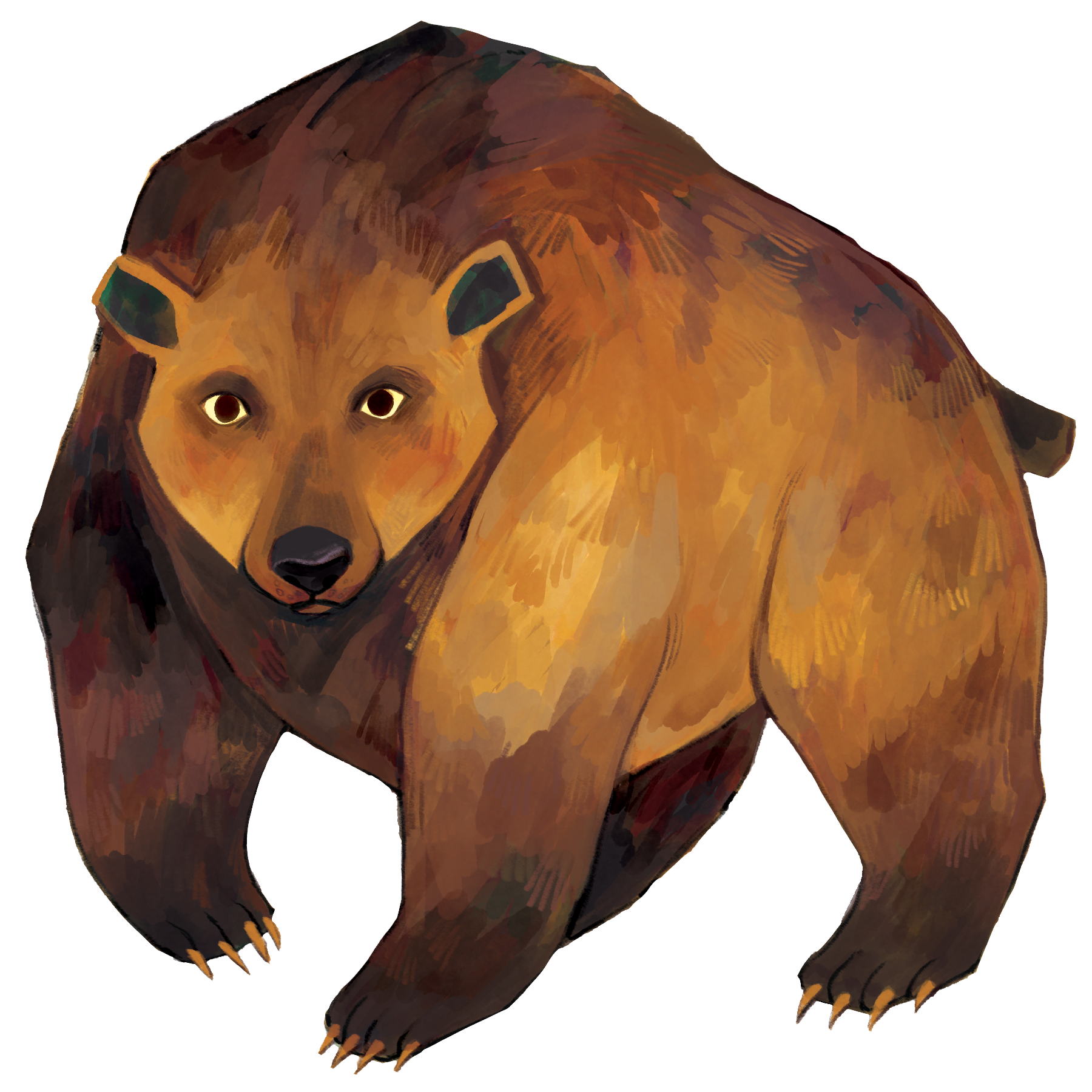 03_grizzly_bear_png.png